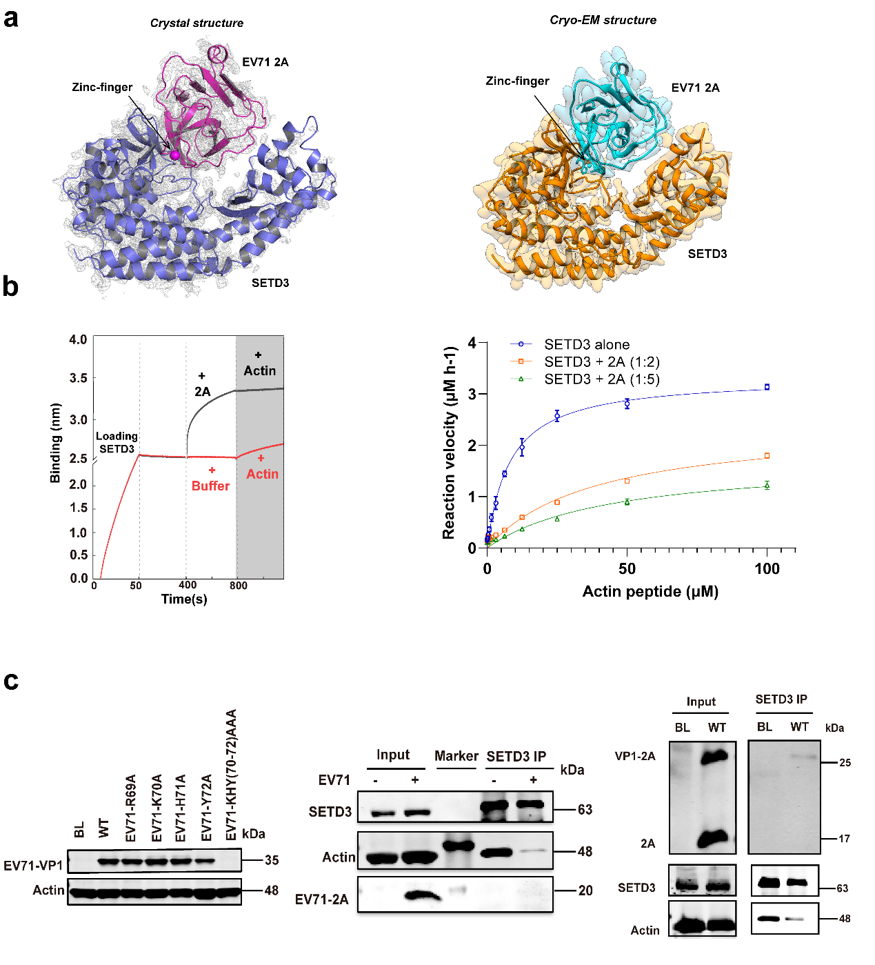 E:\新闻稿\所内新闻-崔胜、高小攀、王健伟组-《Nature Communications》-IF16.6.files\image001.png